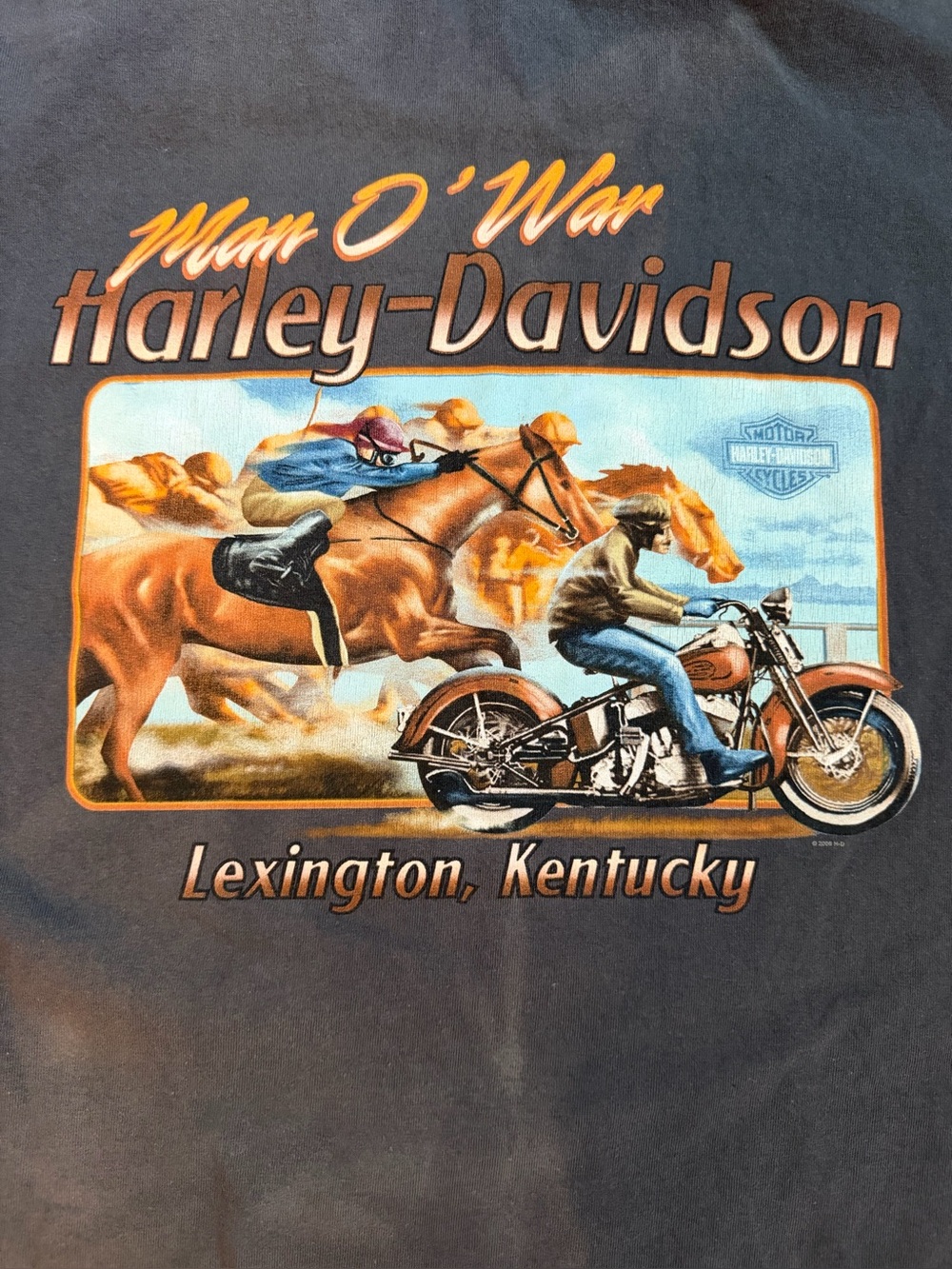 Vintage Harley Davidson Tee - Man O’ War Lexington, Kentucky 2006